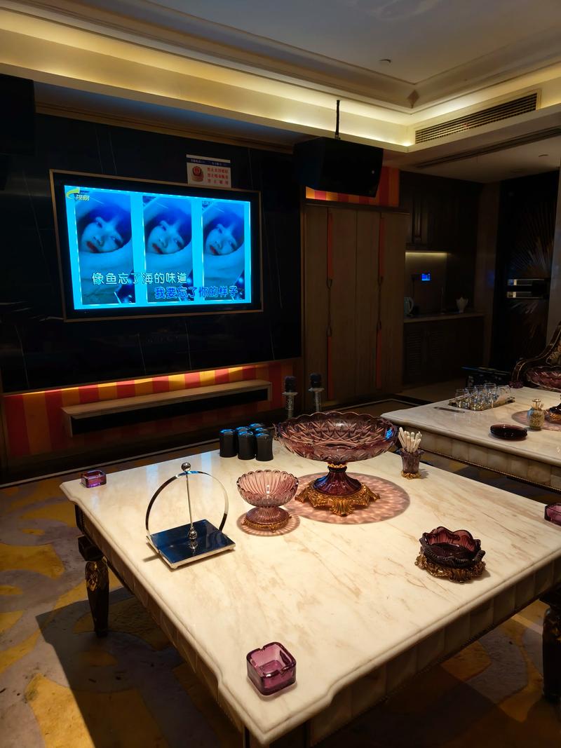 上海商务ktv精选及实用商务ktv攻略-宝山区ktv预定